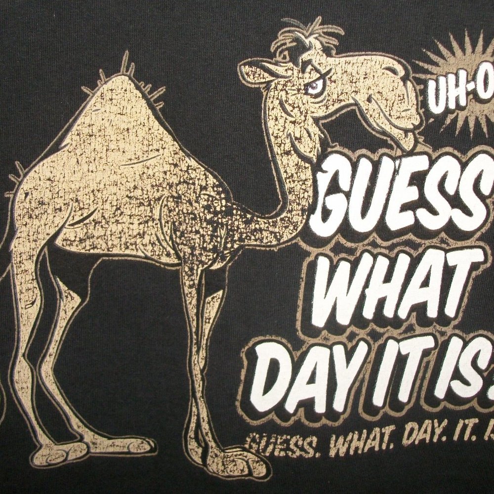 Gently Worn Black Hump Day T Shirt 2X